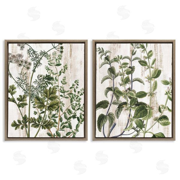 Stupell Industries Kim Allen | Aged Botanical Leaves Wall Art