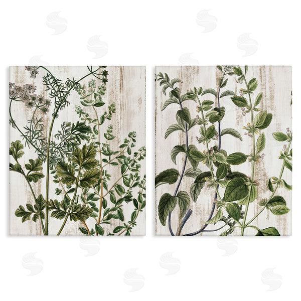 stupell industries Kim Allen | Aged Botanical Leaves Wall Art