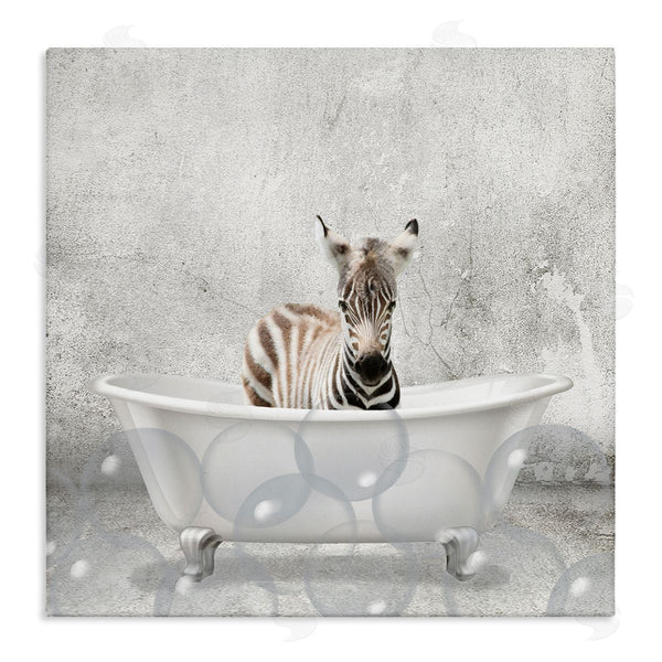 stupell industries Kim Allen | Baby Zebra Bath Time Wall Art