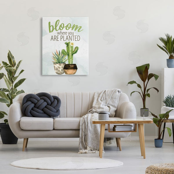 Stupell Industries Kim Allen | Bloom Where You Are Planted Cactus Succulent Wall Art