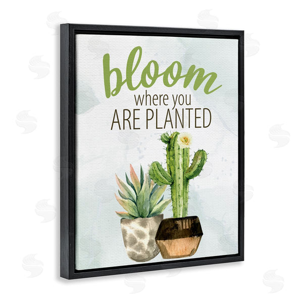 Stupell Industries Kim Allen | Bloom Where You Are Planted Cactus Succulent Wall Art