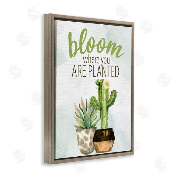 Stupell Industries Kim Allen | Bloom Where You Are Planted Cactus Succulent Wall Art