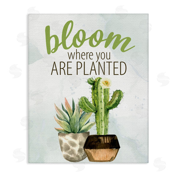 stupell industries Kim Allen | Bloom Where You Are Planted Cactus Succulent Wall Art