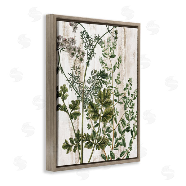 Stupell Industries Kim Allen | Botanical Greenery Pattern