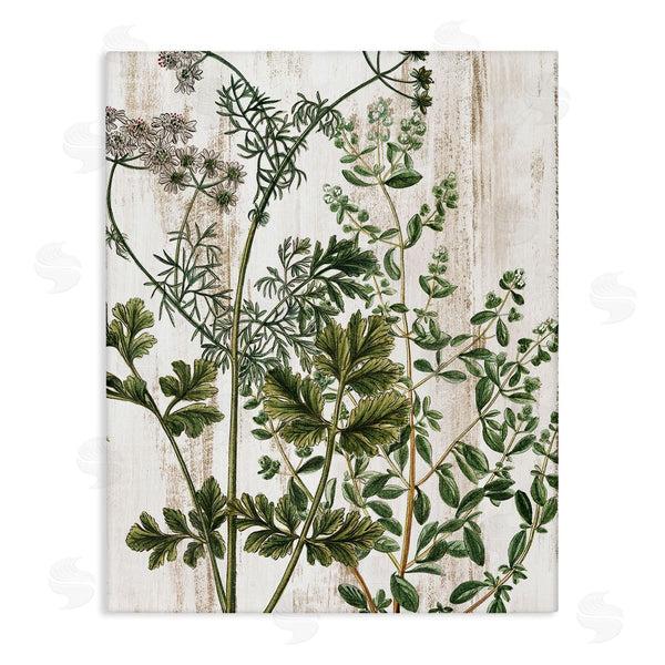 stupell industries Kim Allen | Botanical Greenery Pattern