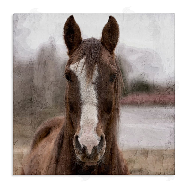 stupell industries Kim Allen | Brown Horse Portrait Wall Art