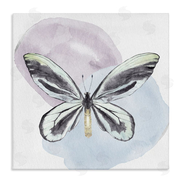 stupell industries Kim Allen | Butterfly with Pastel Shapes Wall Art