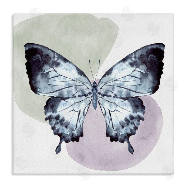 stupell industries Kim Allen | Butterfly with Subtle Shapes Wall Art