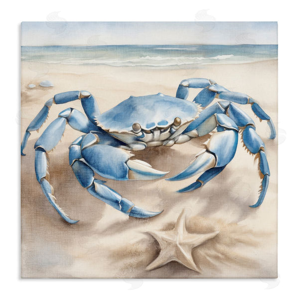 stupell industries Kim Allen | Crab and Starfish on Beach
