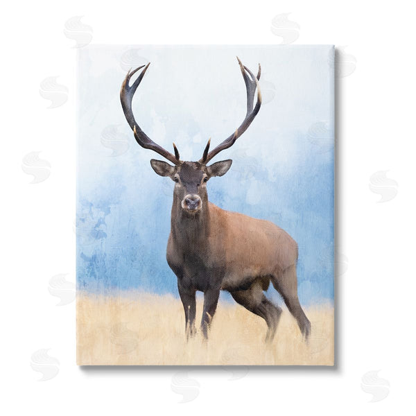 stupell industries Kim Allen | Deer in Open Field Wall Art