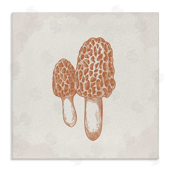 stupell industries Kim Allen | Detailed Mushroom Latin Study Drawing Wall Art
