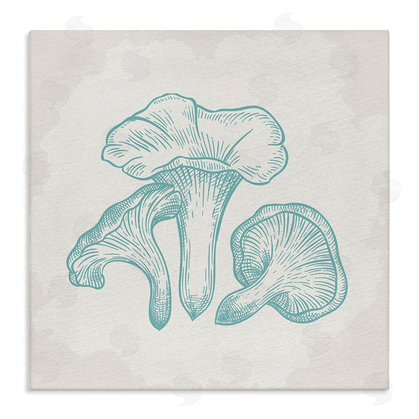 stupell industries Kim Allen | Detailed Mushroom Specimen Botanicals Wall Art