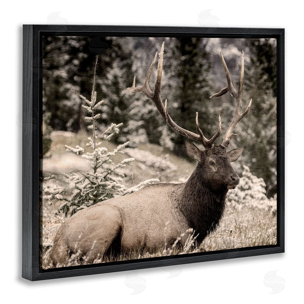 Stupell Industries Kim Allen | Elk In Nature Photography