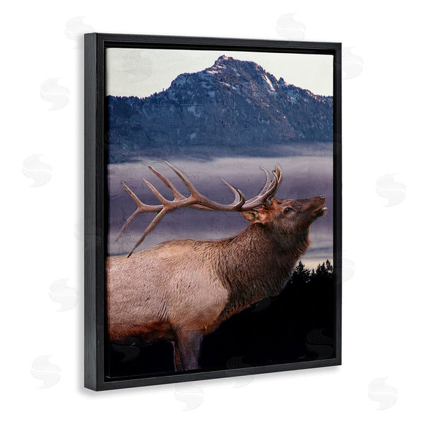 Stupell Industries Kim Allen | Elk Mountain Landscape
