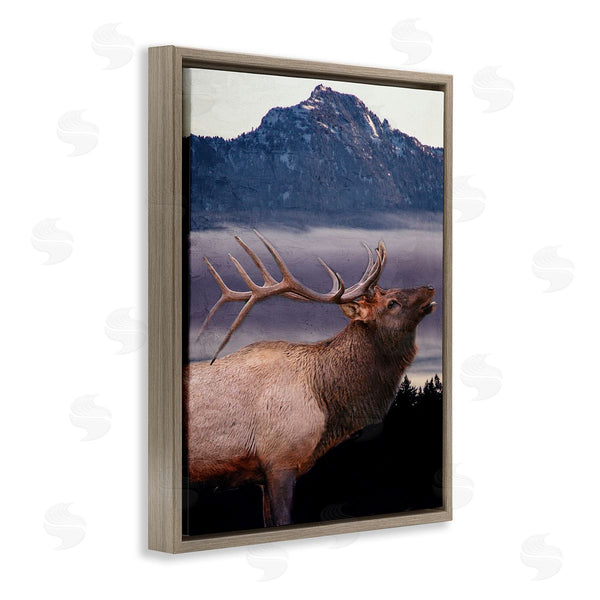 Stupell Industries Kim Allen | Elk Mountain Landscape