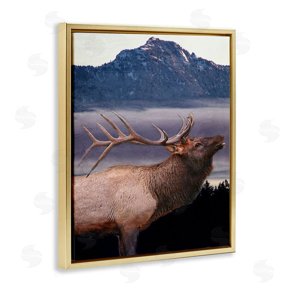Stupell Industries Kim Allen | Elk Mountain Landscape