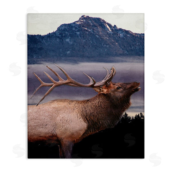 stupell industries Kim Allen | Elk Mountain Landscape