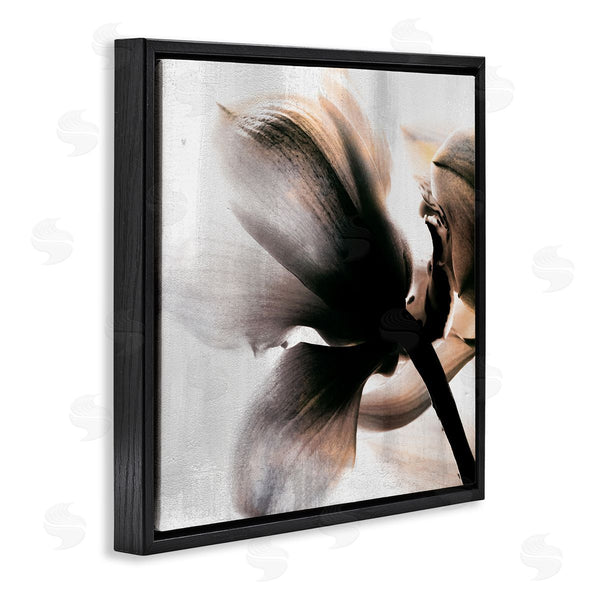 Stupell Industries Kim Allen | Flower Stem Silhouette Petals Distressed Background Wall Art