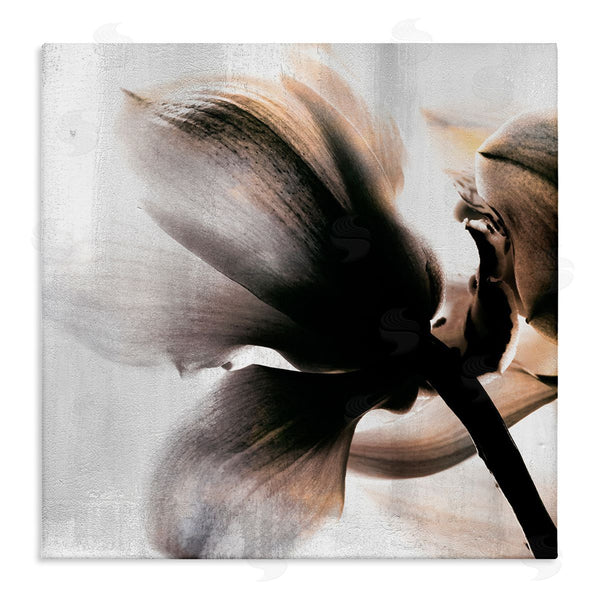 stupell industries Kim Allen | Flower Stem Silhouette Petals Distressed Background Wall Art