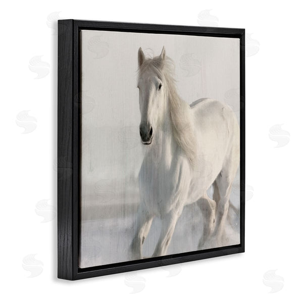 Stupell Industries Kim Allen | Galloping White Stallion