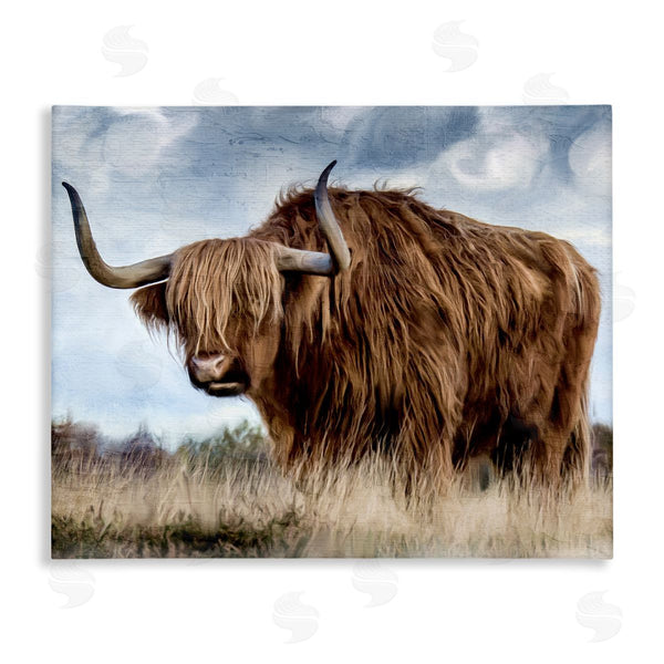 stupell industries Kim Allen | Highland Cattle in Field
