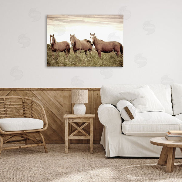 Stupell Industries Kim Allen | Horse Trio Gaze Wall Art