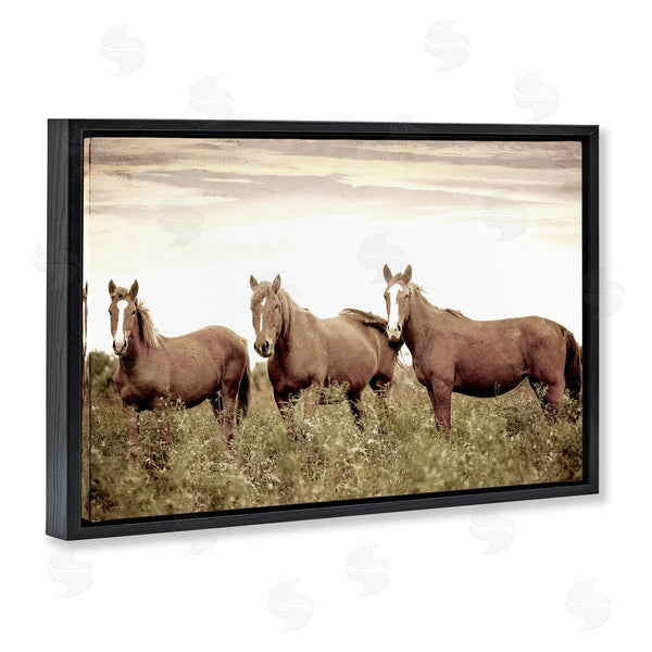 Stupell Industries Kim Allen | Horse Trio Gaze Wall Art
