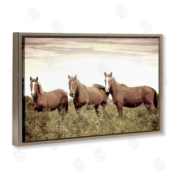 Stupell Industries Kim Allen | Horse Trio Gaze Wall Art