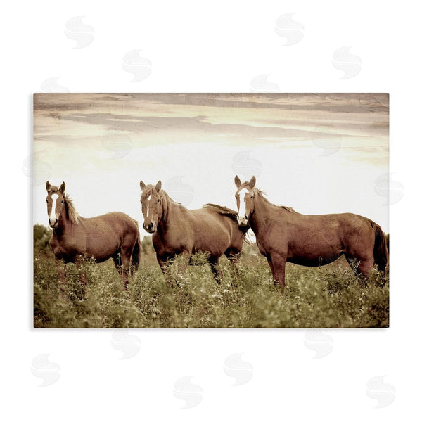 stupell industries Kim Allen | Horse Trio Gaze Wall Art