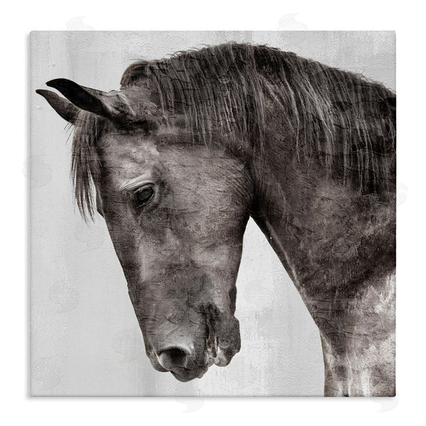 stupell industries Kim Allen | King Monochromatic Horse Portrait