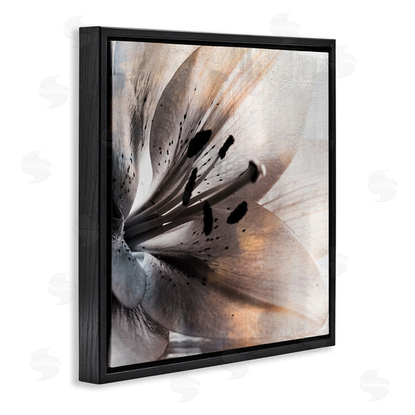 Stupell Industries Kim Allen | Lily Floral Close Up Black White Petal Detail Wall Art
