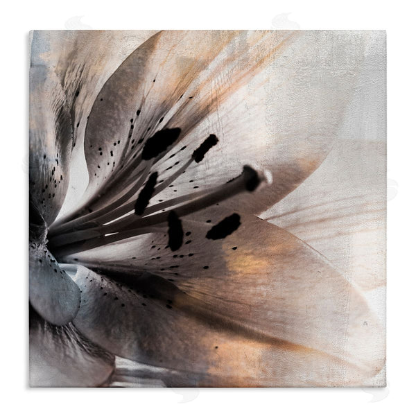 stupell industries Kim Allen | Lily Floral Close Up Black White Petal Detail Wall Art