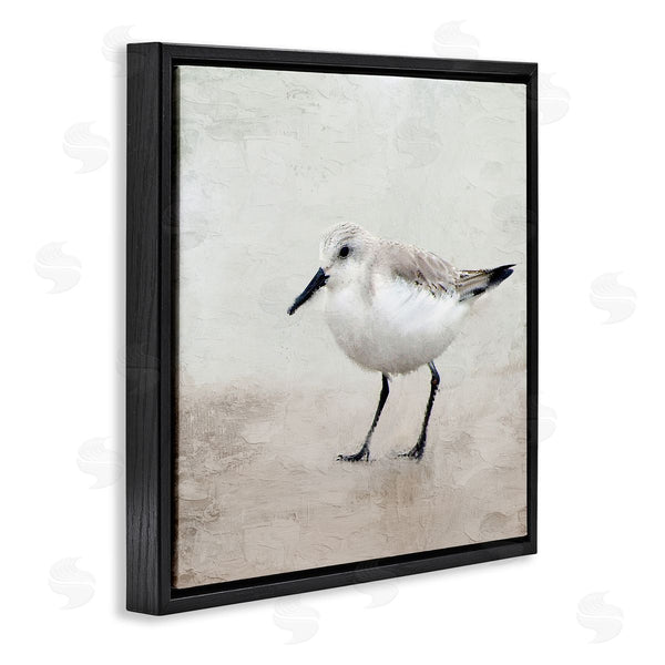 Stupell Industries Kim Allen | Lone Sandpiper Bird Portrait