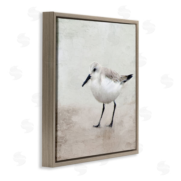 Stupell Industries Kim Allen | Lone Sandpiper Bird Portrait
