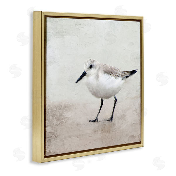 Stupell Industries Kim Allen | Lone Sandpiper Bird Portrait