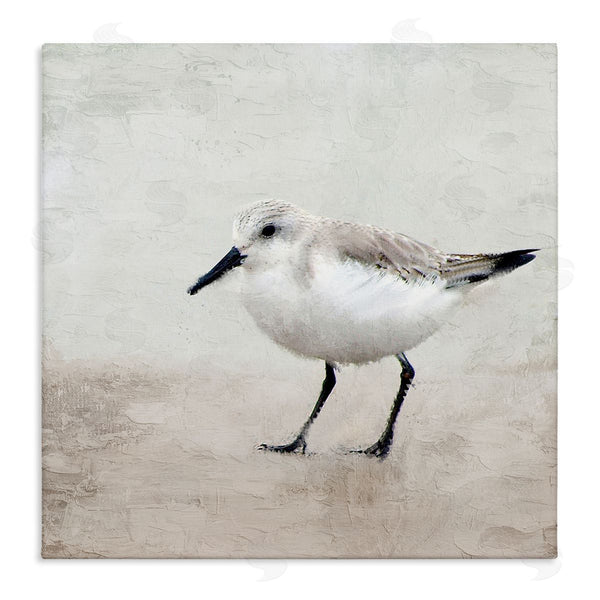 stupell industries Kim Allen | Lone Sandpiper Bird Portrait