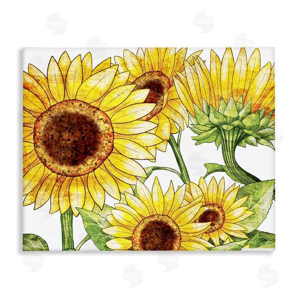 stupell industries Kim Allen | Peeking Sunflower Blooms Wall Art