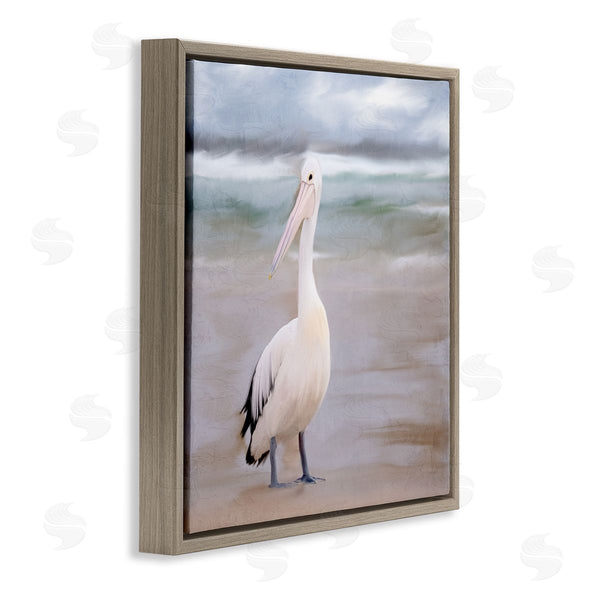 Stupell Industries Kim Allen | Pelican Walk Bird Portrait
