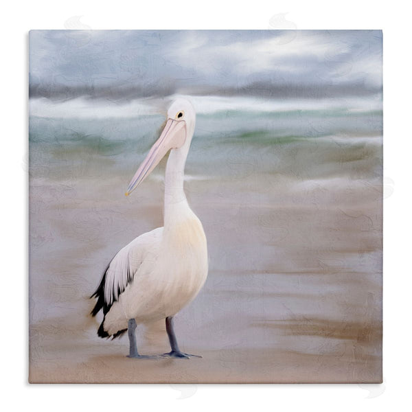 stupell industries Kim Allen | Pelican Walk Bird Portrait
