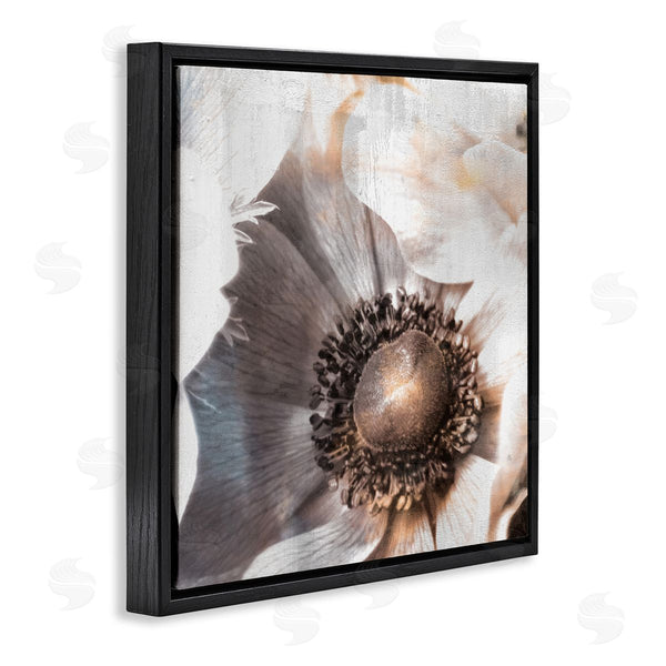 Stupell Industries Kim Allen | Poppy Flower Close Up Floral Petal Detail Wall Art