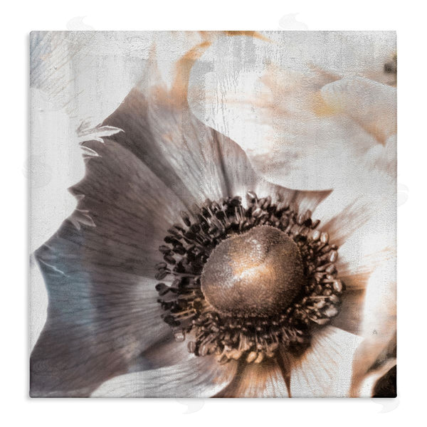 stupell industries Kim Allen | Poppy Flower Close Up Floral Petal Detail Wall Art