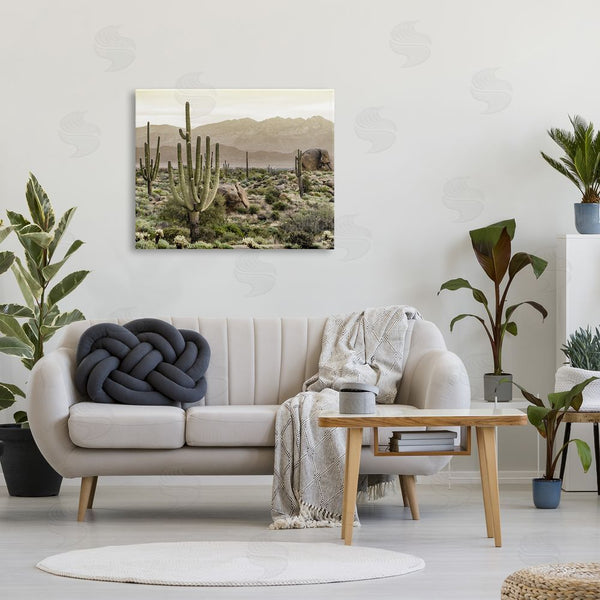 Stupell Industries Kim Allen | Rocky Desert Landscape Wall Art