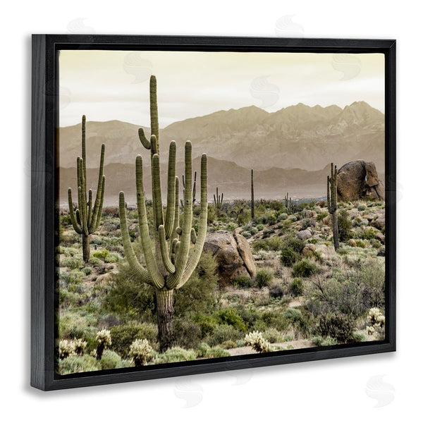 Stupell Industries Kim Allen | Rocky Desert Landscape Wall Art