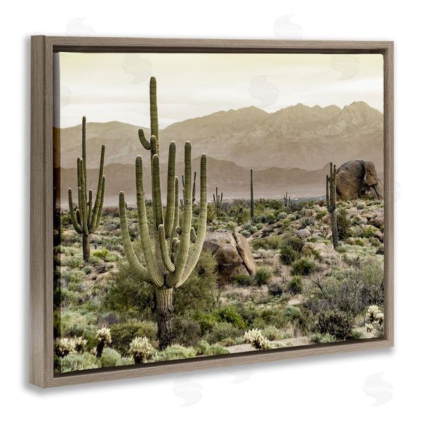 Stupell Industries Kim Allen | Rocky Desert Landscape Wall Art