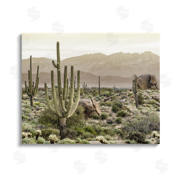 stupell industries Kim Allen | Rocky Desert Landscape Wall Art