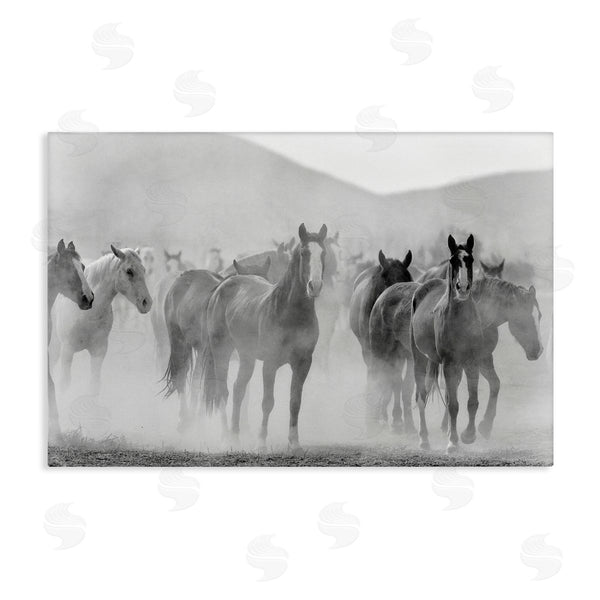 stupell industries Kim Allen | Running Horse Herd Wall Art