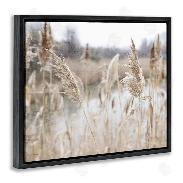 Stupell Industries Kim Allen | Rural Pampas Grass Reeds Lakeside Pond Marsh Wall Art