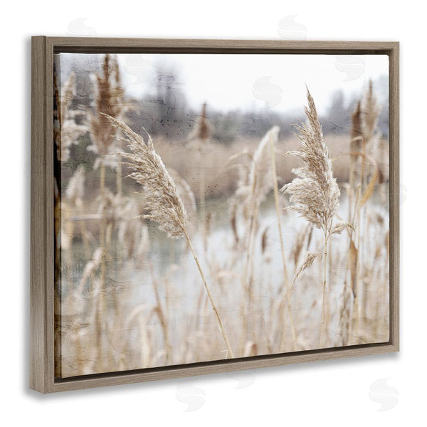 Stupell Industries Kim Allen | Rural Pampas Grass Reeds Lakeside Pond Marsh Wall Art