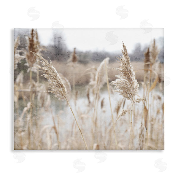 stupell industries Kim Allen | Rural Pampas Grass Reeds Lakeside Pond Marsh Wall Art