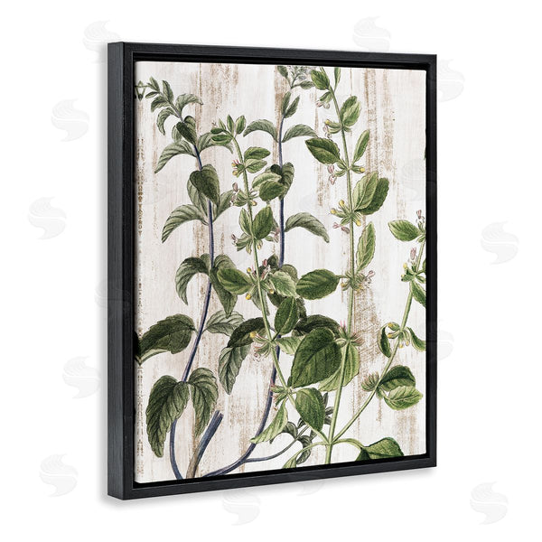 Stupell Industries Kim Allen | Rustic Botanical Vines